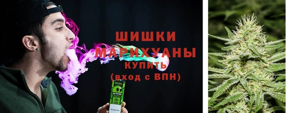 мдпв Пересвет