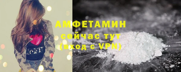 PSILOCYBIN Кедровый