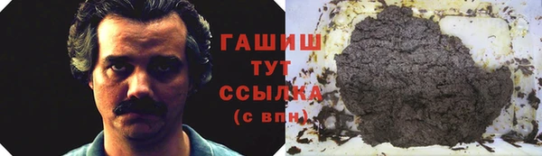 гидра Пестово