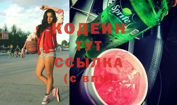 мдпв Пересвет