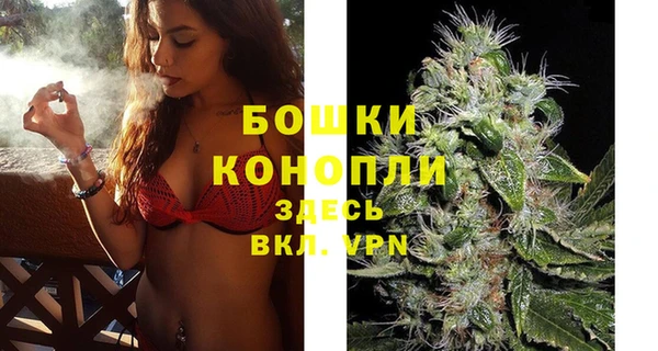 дурь Осташков