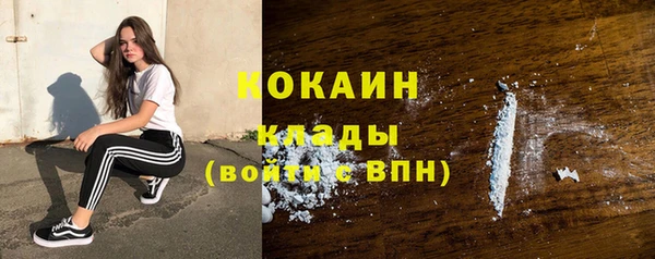 мдпв Пересвет