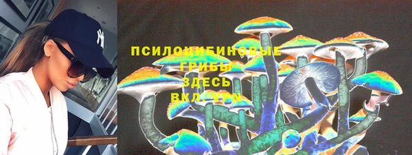 гидра Пестово