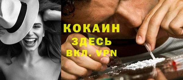 мдпв Пересвет