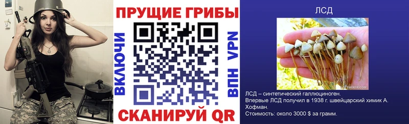 как найти наркотики  Кирс  МЕГА tor  Галлюциногенные грибы GOLDEN TEACHER 
