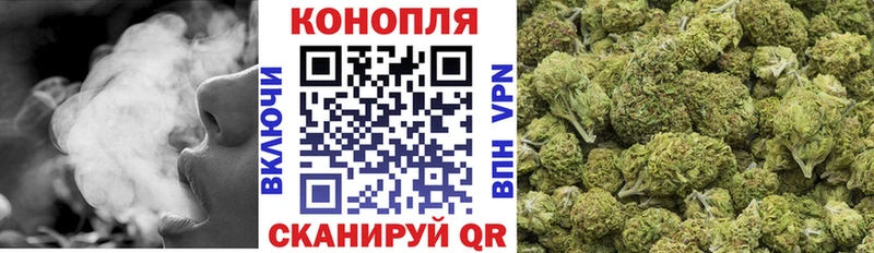 Бошки Шишки тримм Кирс